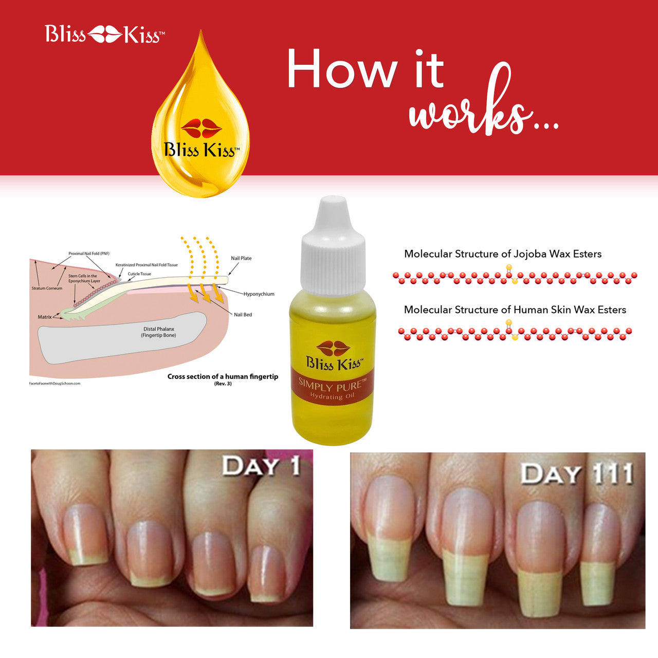 LE: Simply Pure™ Hydrating Oil 15 ml Dropper - Juicy Raspberry